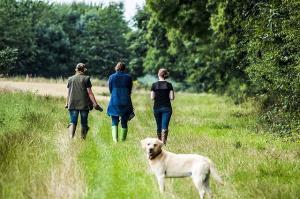 Family walking