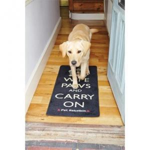 Dog door mat