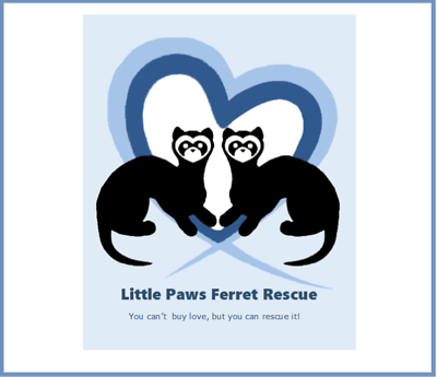 little paws ferret rescue