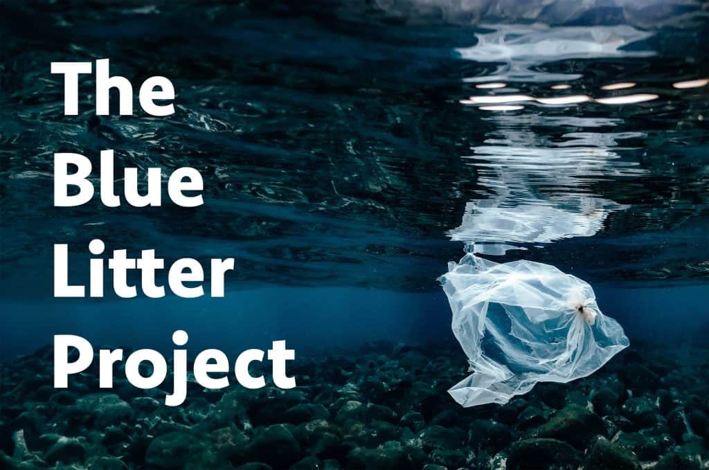 blue litter project banner
